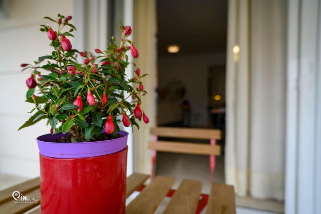 Thyme Out In Athens Apartment Ngoại thất bức ảnh